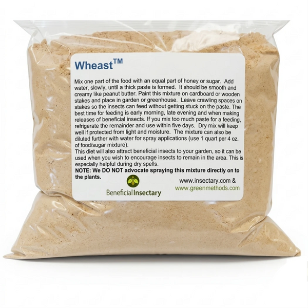 Wheast food for green lacewing adults 1 lbs bag