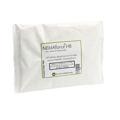 Beneficial Nematodes
