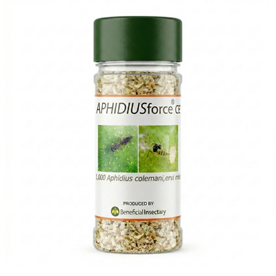 Parasitoids