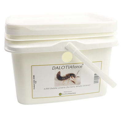 Soil Pest Control