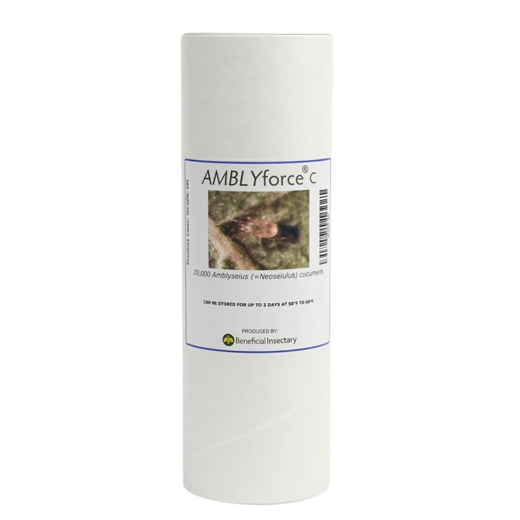 AMBLYforce C bottle of 20000 in vermiculite