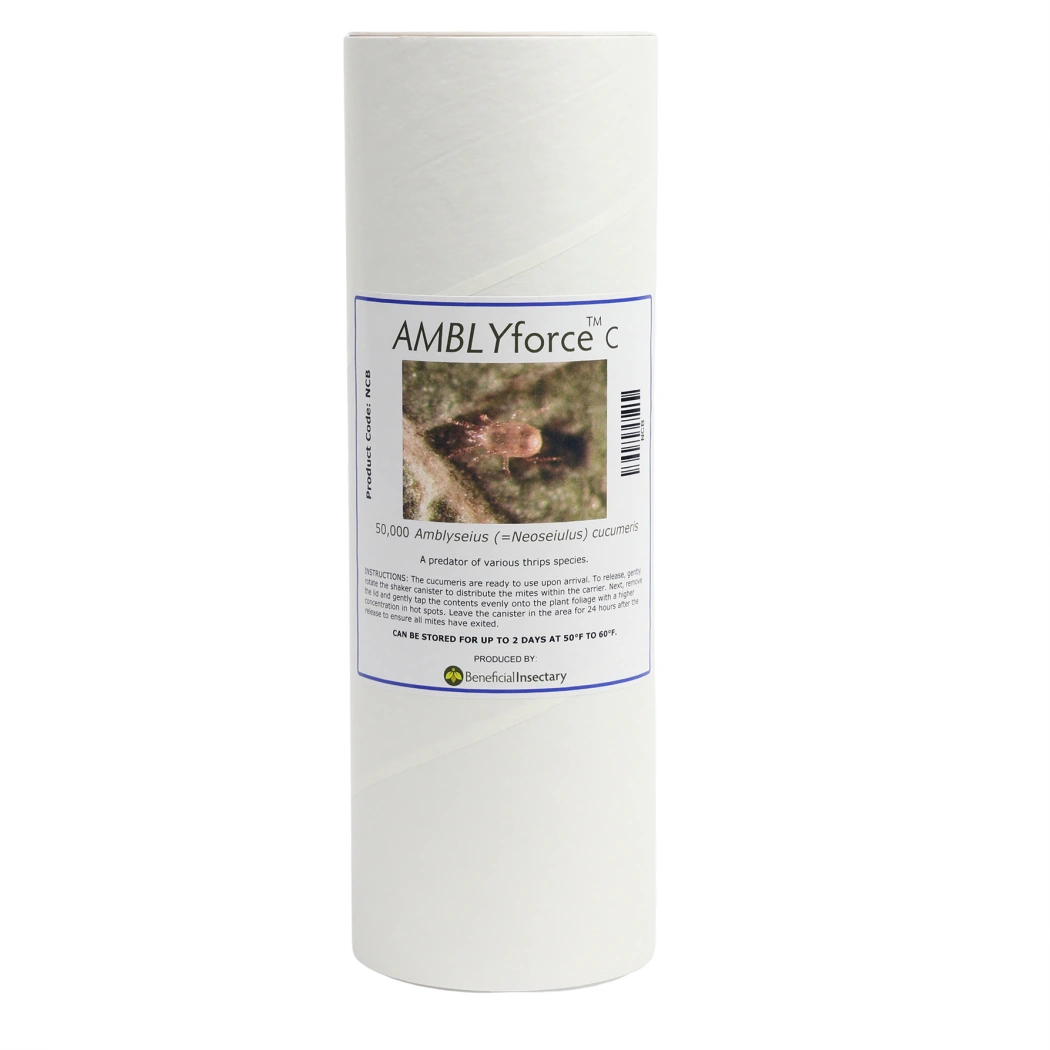 AMBLYforce C bottle of 50000 in Vermiculite