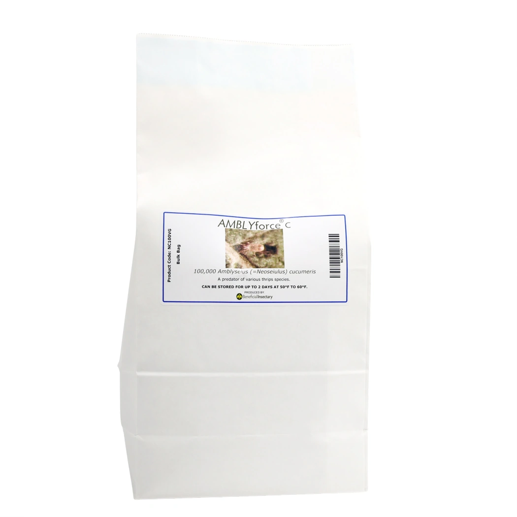AMBLYforce C thrips predator 5 liter bulk bag 100000 5 liter breeder bag in Vermiculite