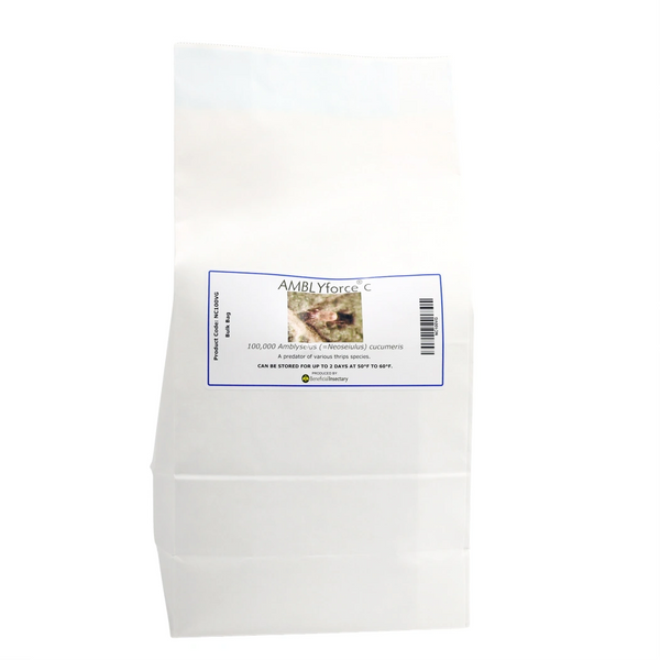 AMBLYforce C thrips predator 5 liter bulk bag 100000 5 liter breeder bag in Vermiculite