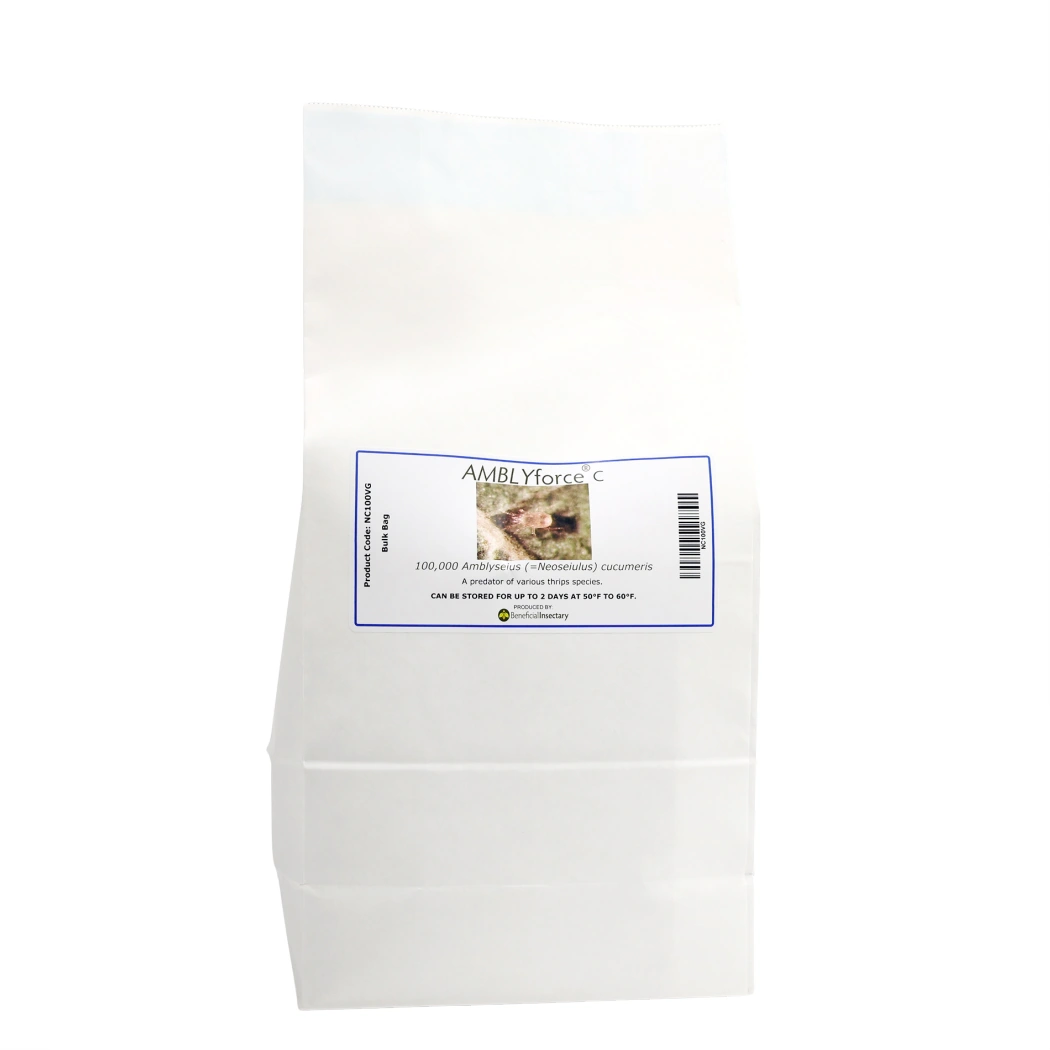AMBLYforce C thrips predator 5 liter bulk bag 100000 5 liter breeder bag in bran