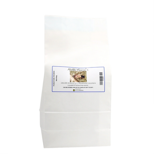 AMBLYforce C thrips predator 5 liter bulk bag 100000 5 liter breeder bag in bran