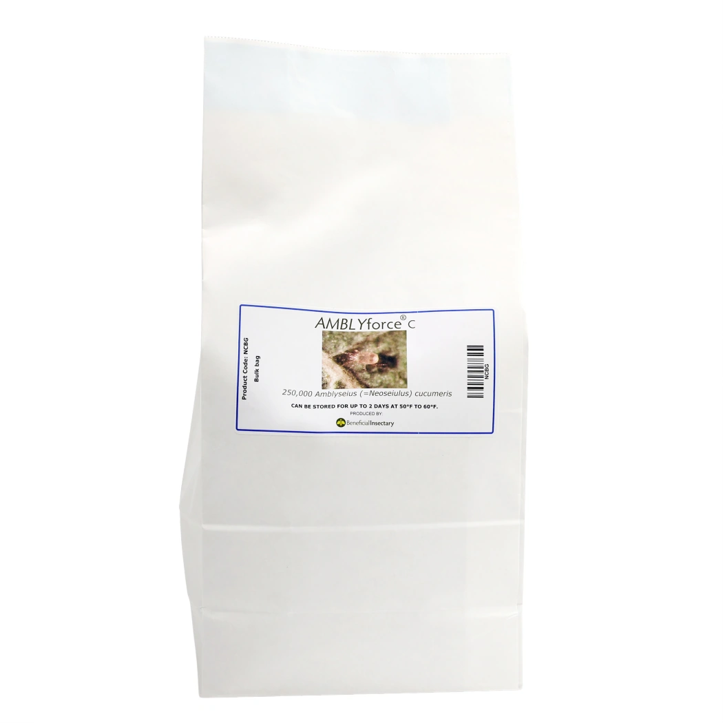 AMBLYforce C thrips predator 5 liter bulk bag 250000 5 liter bag in 80 bran 20 Vermiculite