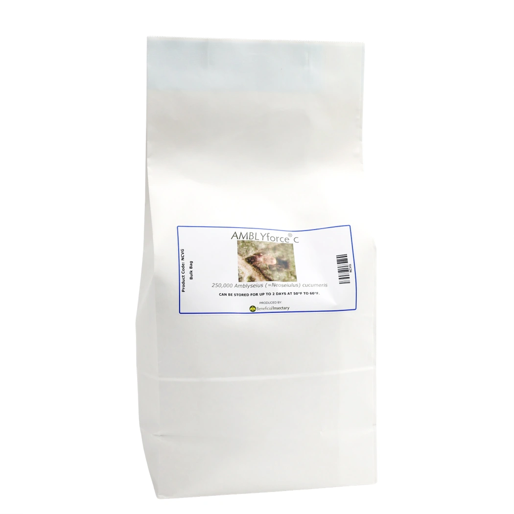 AMBLYforce C thrips predator 5 liter bulk bag 250000 5 liter bag in vermiculite