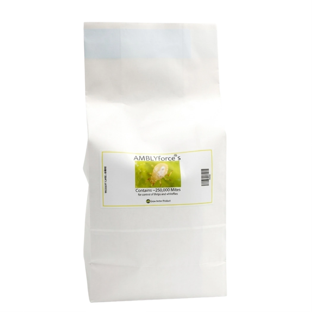AMBLYforce S 125 000 bag of 125000 in 100 bran