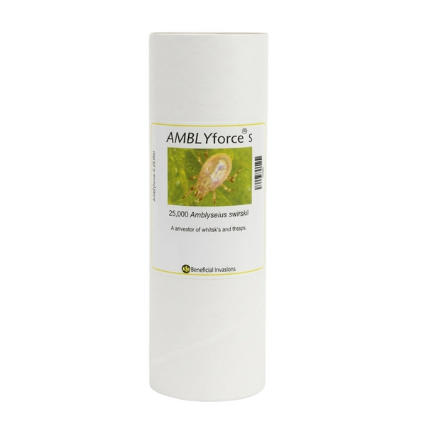 AMBLYforce S 25 000  50 000 bottle of 25000 in 80 bran 20 vermiculite