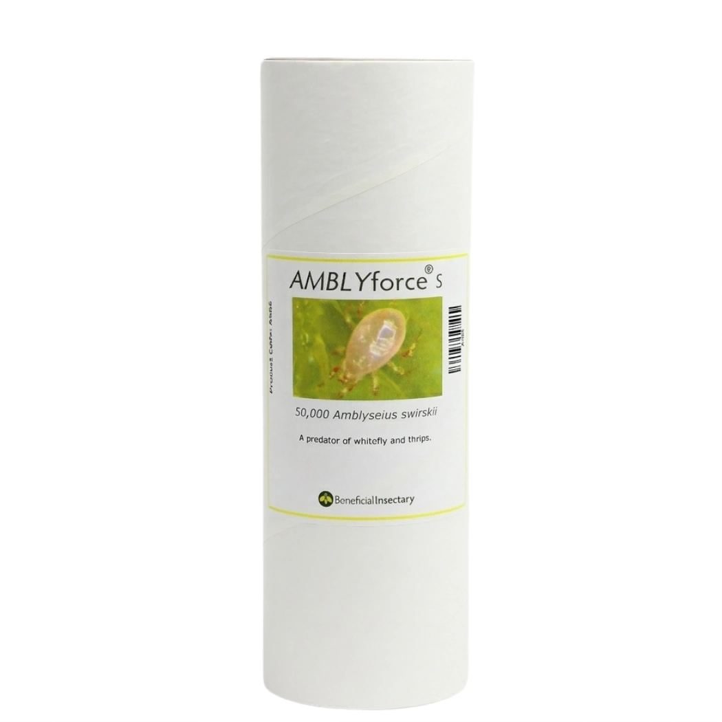 AMBLYforce S 25 000  50 000 bottle of 50000 in 80 bran 20 vermiculite