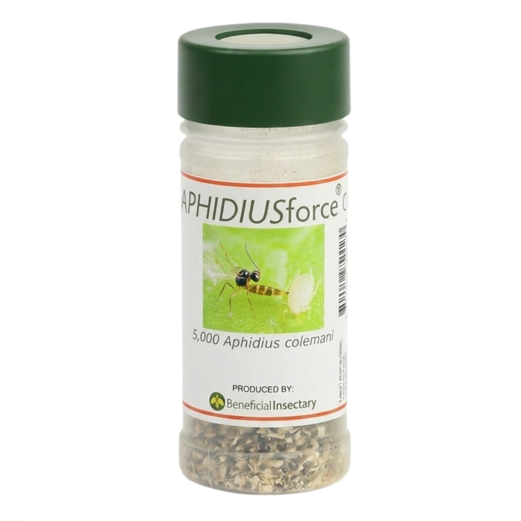 APHIDIUSforce™ C 5000 aphidius colemani main image