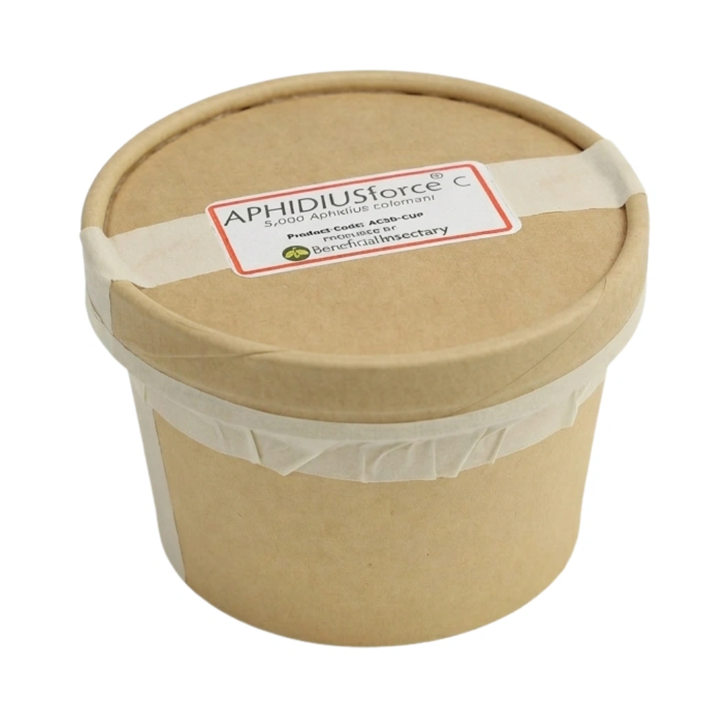 APHIDIUSforce™ C 8oz cup of 5000 aphidius colemani main image