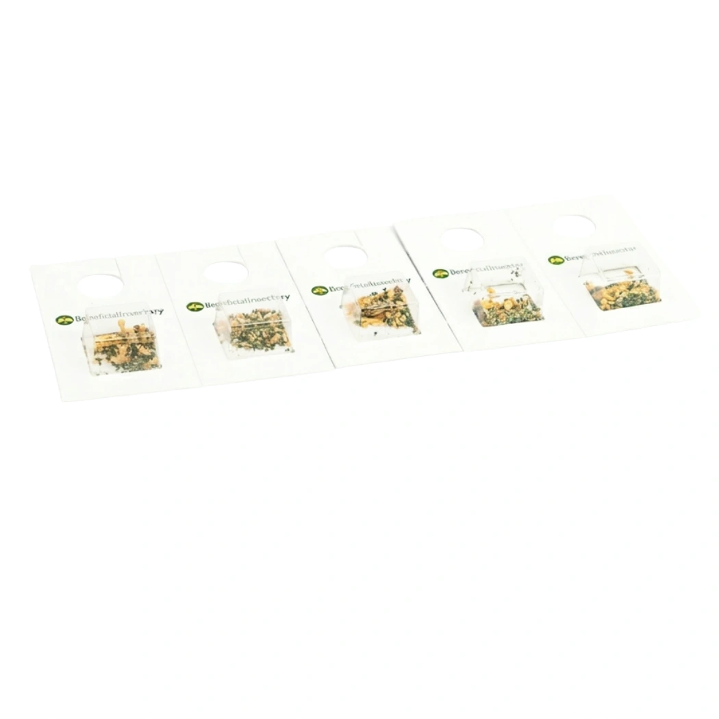 APHIDIUSforce™ C Blister Pack of 1000 aphidius colemani main image