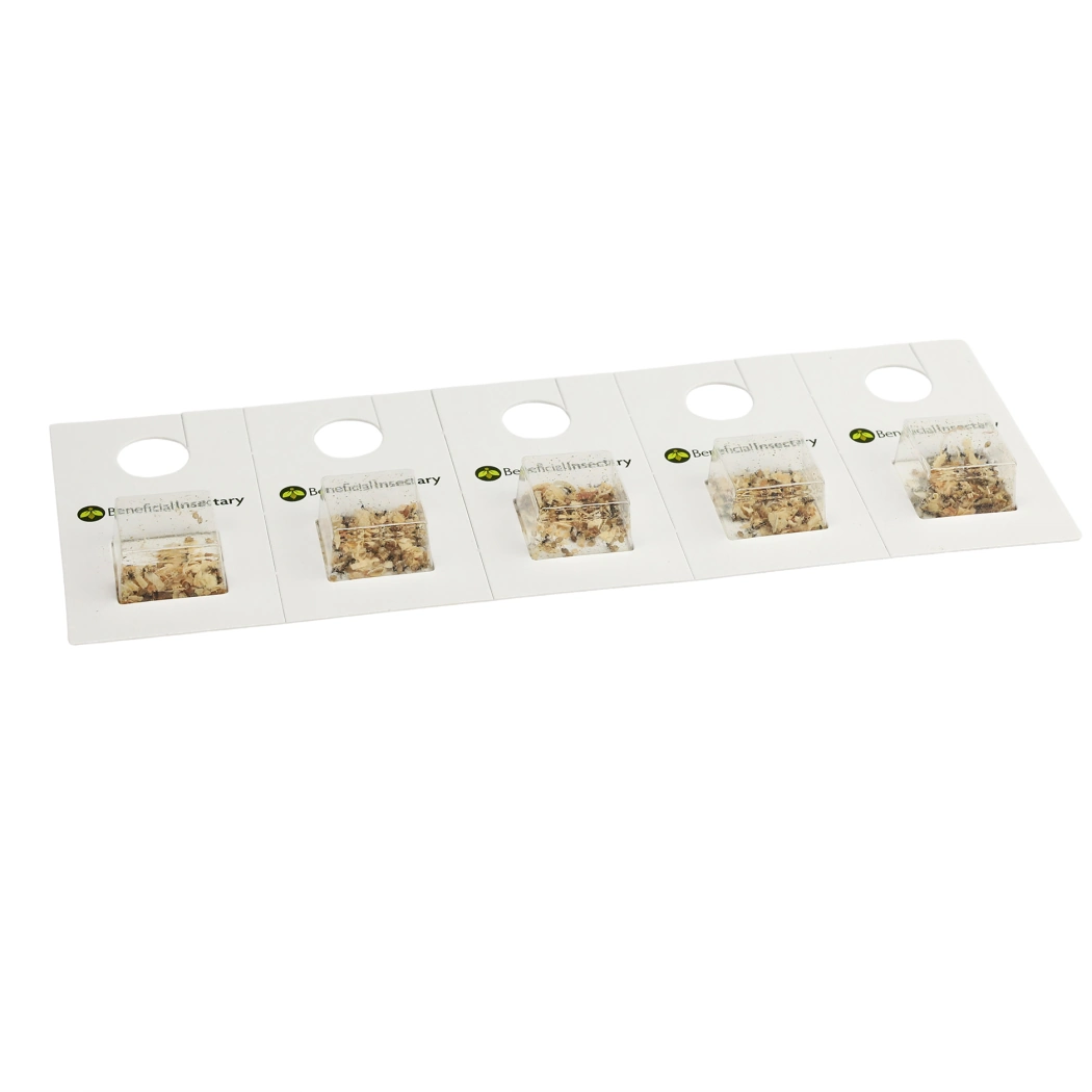 APHIDIUSforce E 250 500 1 000 blister pack of 1000