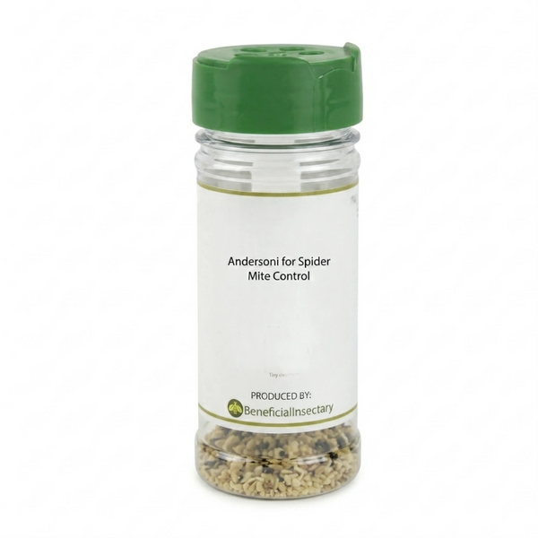 Andersoni for Spider Mite Control main image