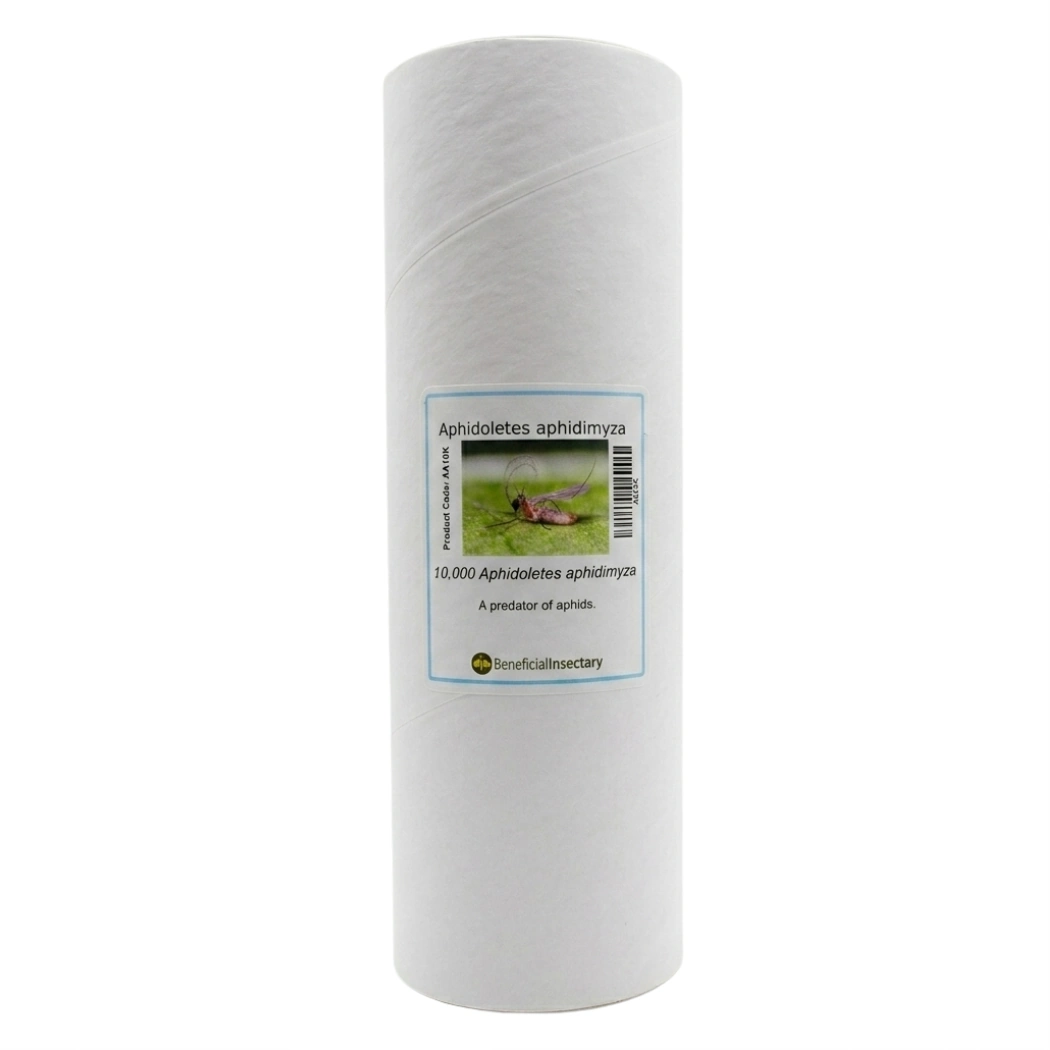 Aphidoletes aphidimyza aphid predator 2 000  10 000 bottle of 10000