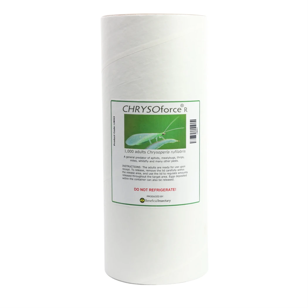 CHRYSOforce R lacewing adults 100 250 1 000 tube of 1000