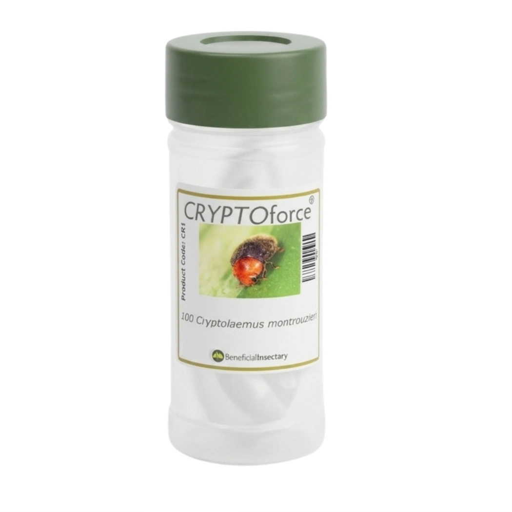 CRYPTOforce mealybug destroyer 100  250  500 bottle of 100