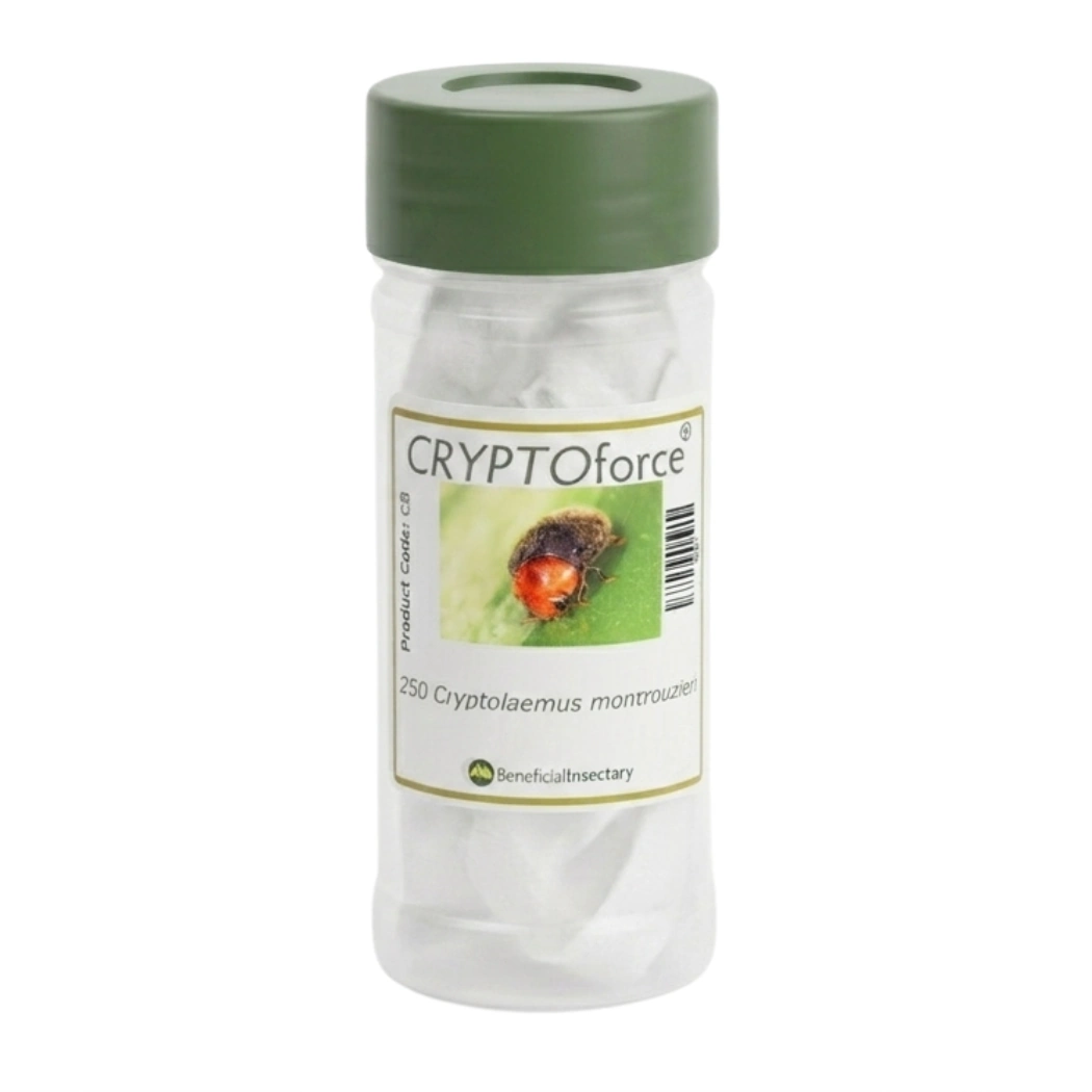 CRYPTOforce mealybug destroyer 100  250  500 bottle of 250