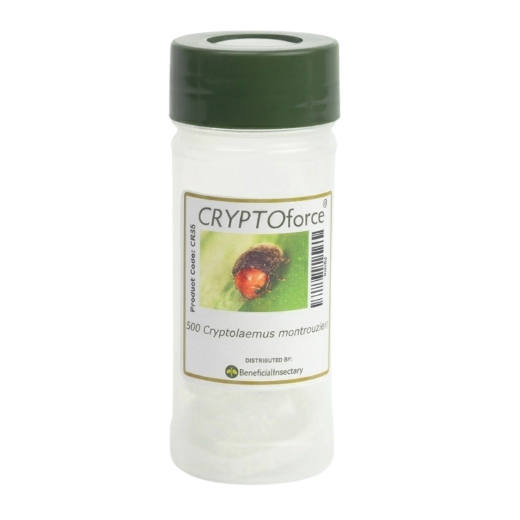 CRYPTOforce mealybug destroyer 100  250  500 bottle of 500