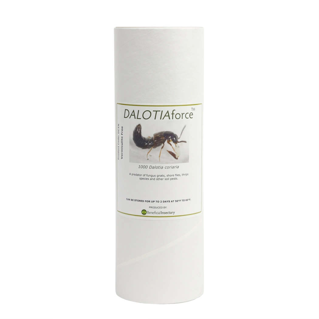 DALOTIAforce 500  1 000  3 000  5 000 bottle of 1000 no vermiculite