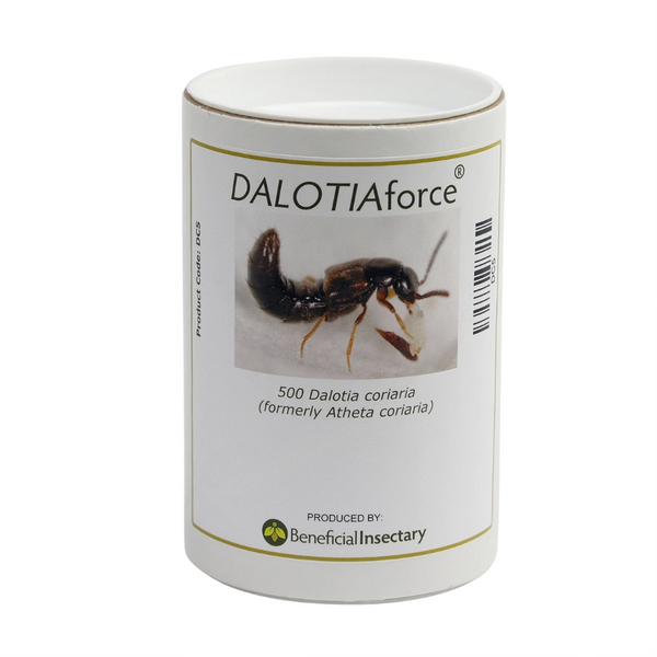 DALOTIAforce 500  1 000  3 000  5 000 bottle of 500