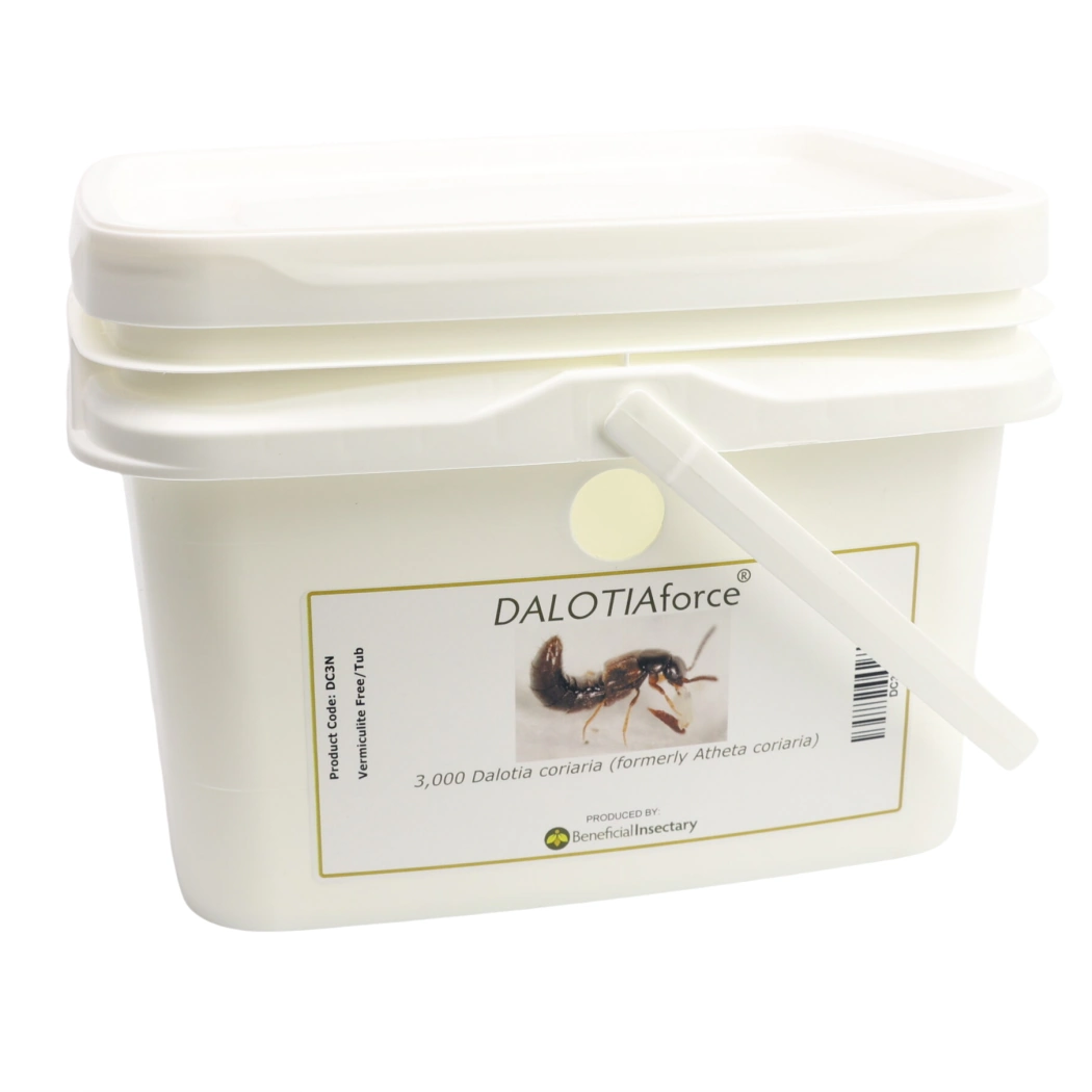 DALOTIAforce 500  1 000  3 000  5 000 bucket of 3000 no vermiculite