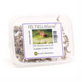 Feltiella acarisuga- Tray of 250