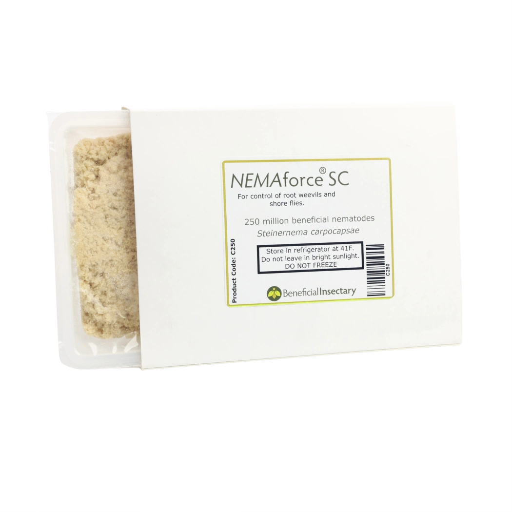 NEMAforce SC 50 250 million 250 mill