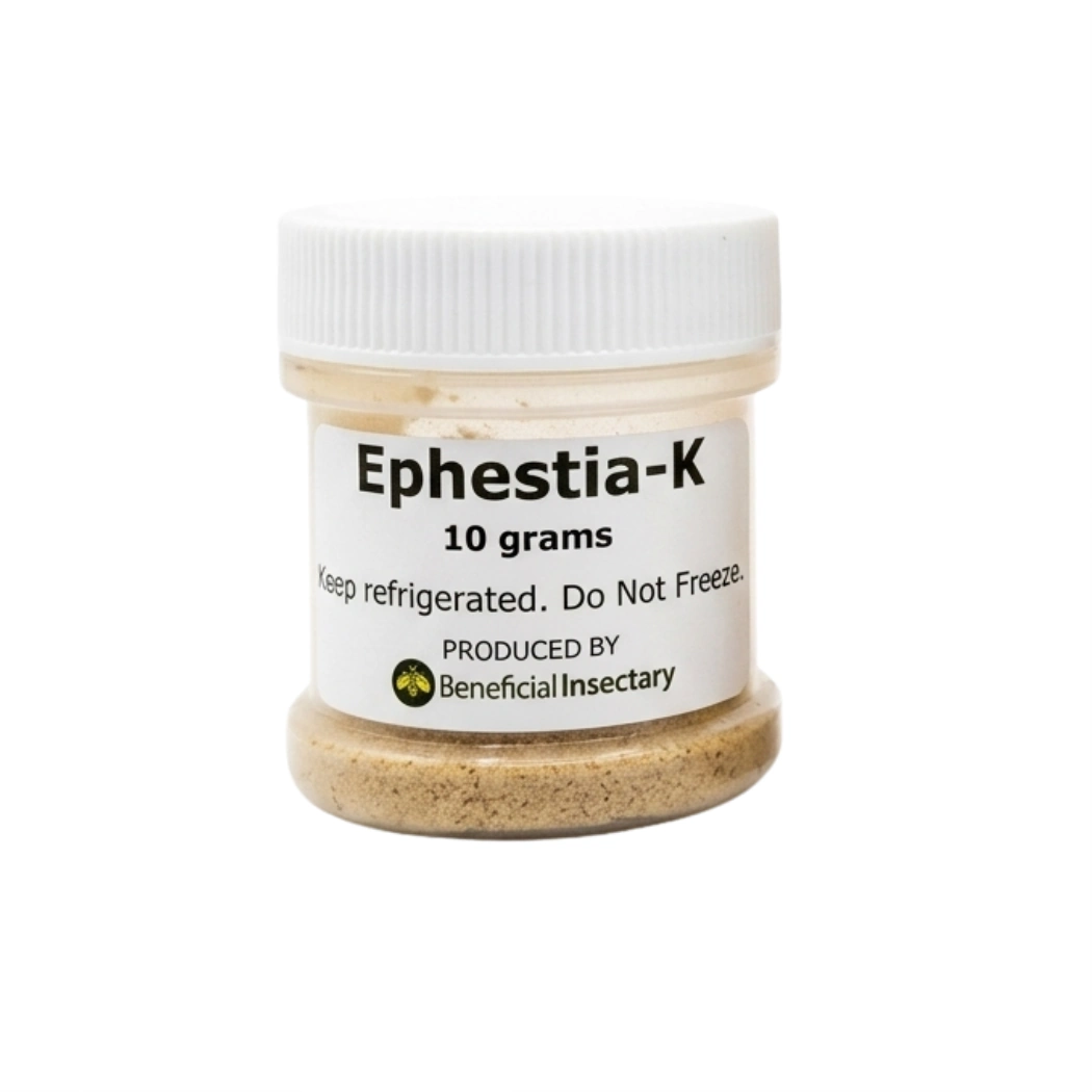 NUTRIforce Ephestia eggs for predator food 10 25 50gr  Card of 35 000 10 gr