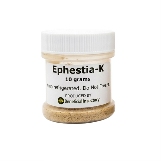 NUTRIforce™ – Ephestia eggs for predator food (10/25/50gr/ Card of 35,000)