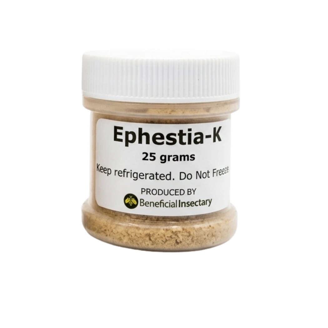 NUTRIforce Ephestia eggs for predator food 10 25 50gr  Card of 35 000 25 gr