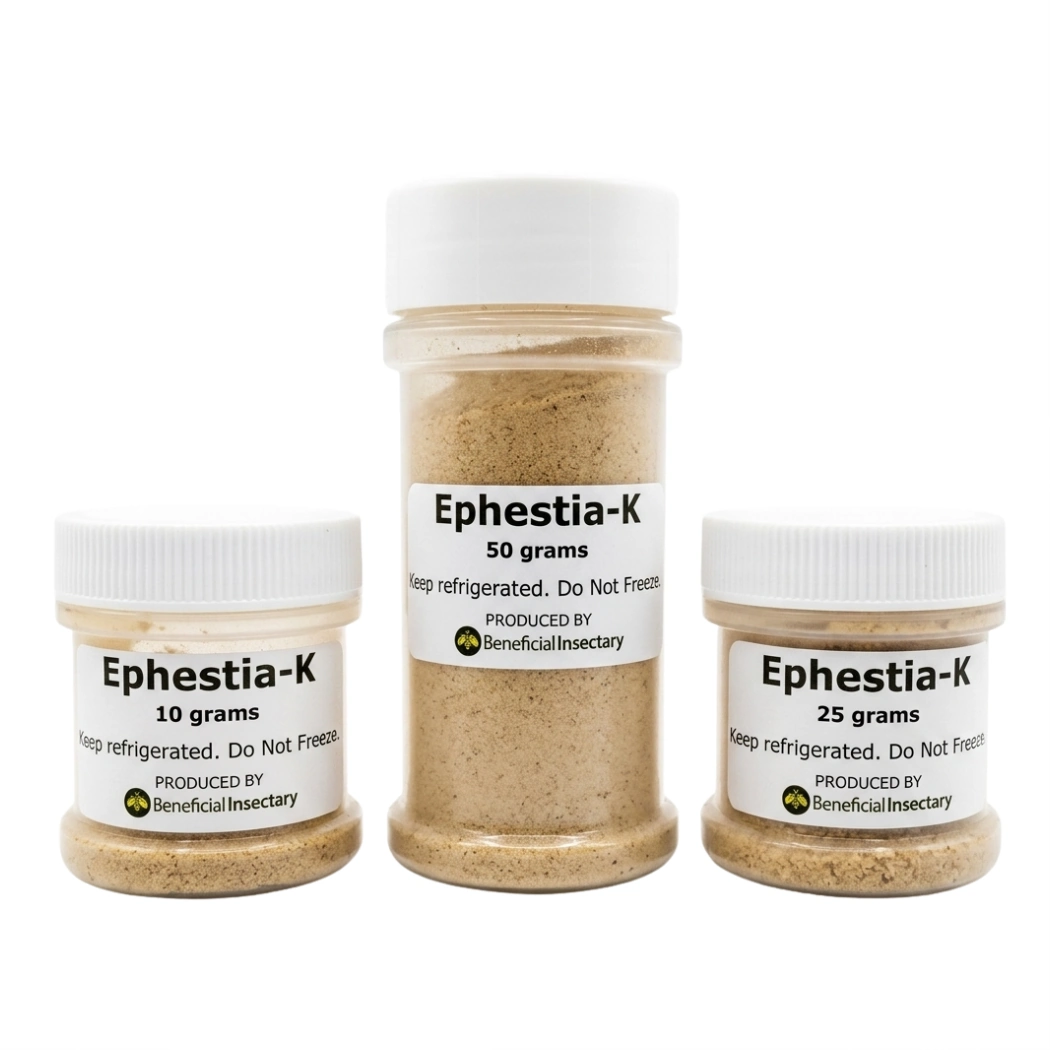 NUTRIforce Ephestia eggs for predator food 10 25 50gr  Card of 35 000 35000 eggs 30 tags card