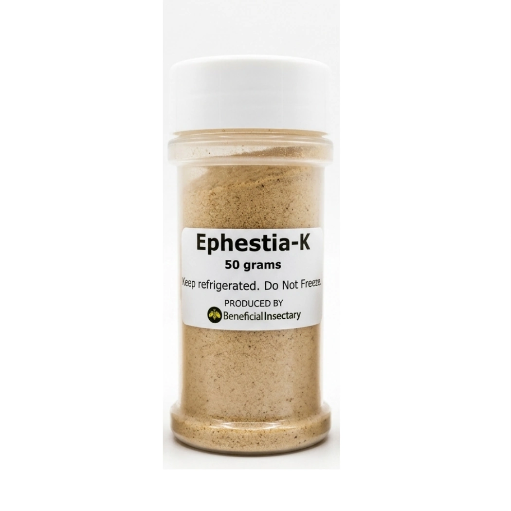 NUTRIforce Ephestia eggs for predator food 10 25 50gr  Card of 35 000 50 gr