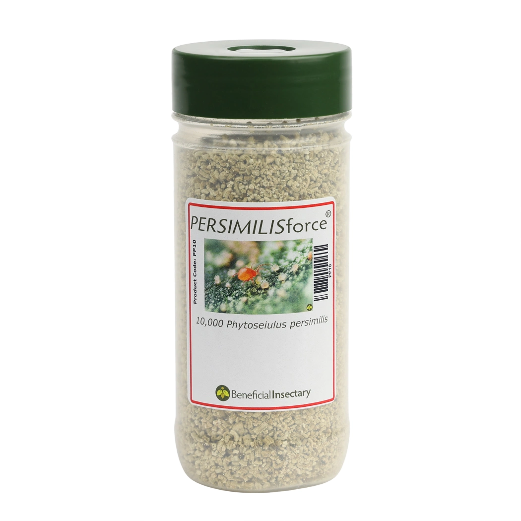 PERSIMILISforce spider mite predator 2 000  5 000  10 000  20 000  25 000 10000 16 oz Bottle in Vermiculite