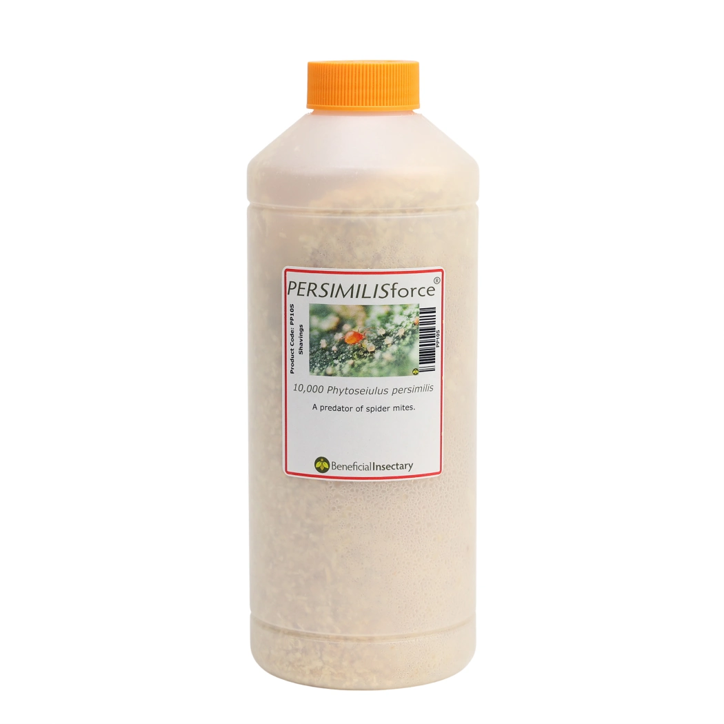 PERSIMILISforce spider mite predator 2 000  5 000  10 000  20 000  25 000 10000 1 liter Bottle in Fine Shavings