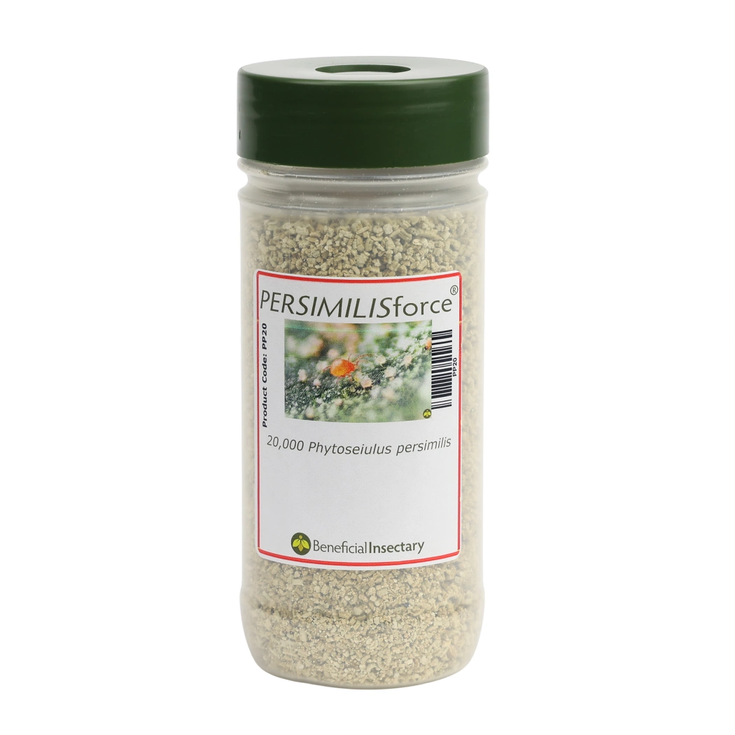PERSIMILISforce spider mite predator 2 000  5 000  10 000  20 000  25 000 20000 16 oz Bottle in Vermiculite
