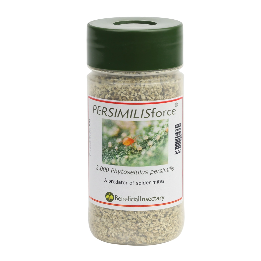 PERSIMILISforce spider mite predator 2 000  5 000  10 000  20 000  25 000 2000 8oz Bottle in Vermiculite
