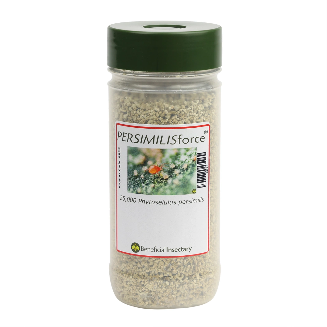PERSIMILISforce spider mite predator 2 000  5 000  10 000  20 000  25 000 25000 16 oz Bottle in Vermiculite