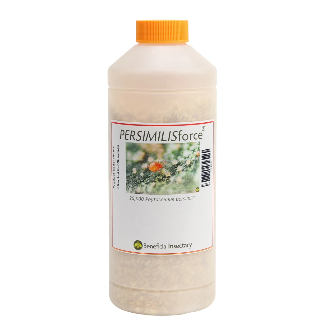 PERSIMILISforce spider mite predator 2 000  5 000  10 000  20 000  25 000 25000 1 liter Bottle in Fin Shavings