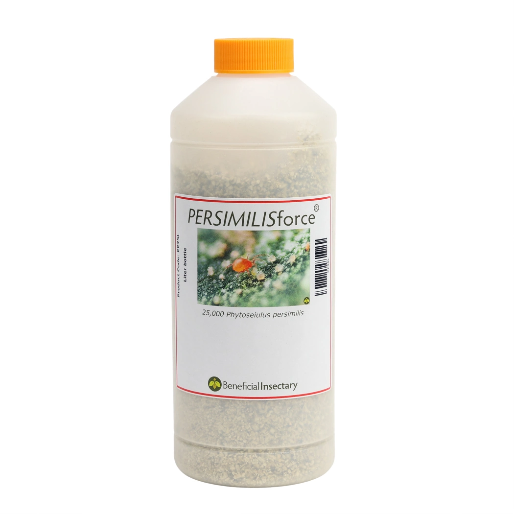 PERSIMILISforce spider mite predator 2 000  5 000  10 000  20 000  25 000 25000 1 liter Bottle in Vermiculite