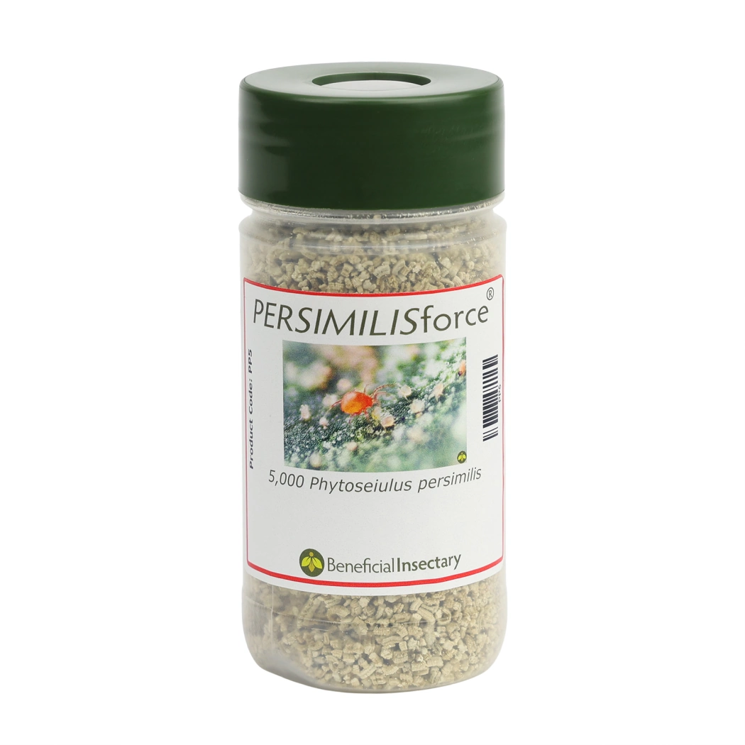 PERSIMILISforce spider mite predator 2 000  5 000  10 000  20 000  25 000 5000 8oz Bottle in Vermiculite