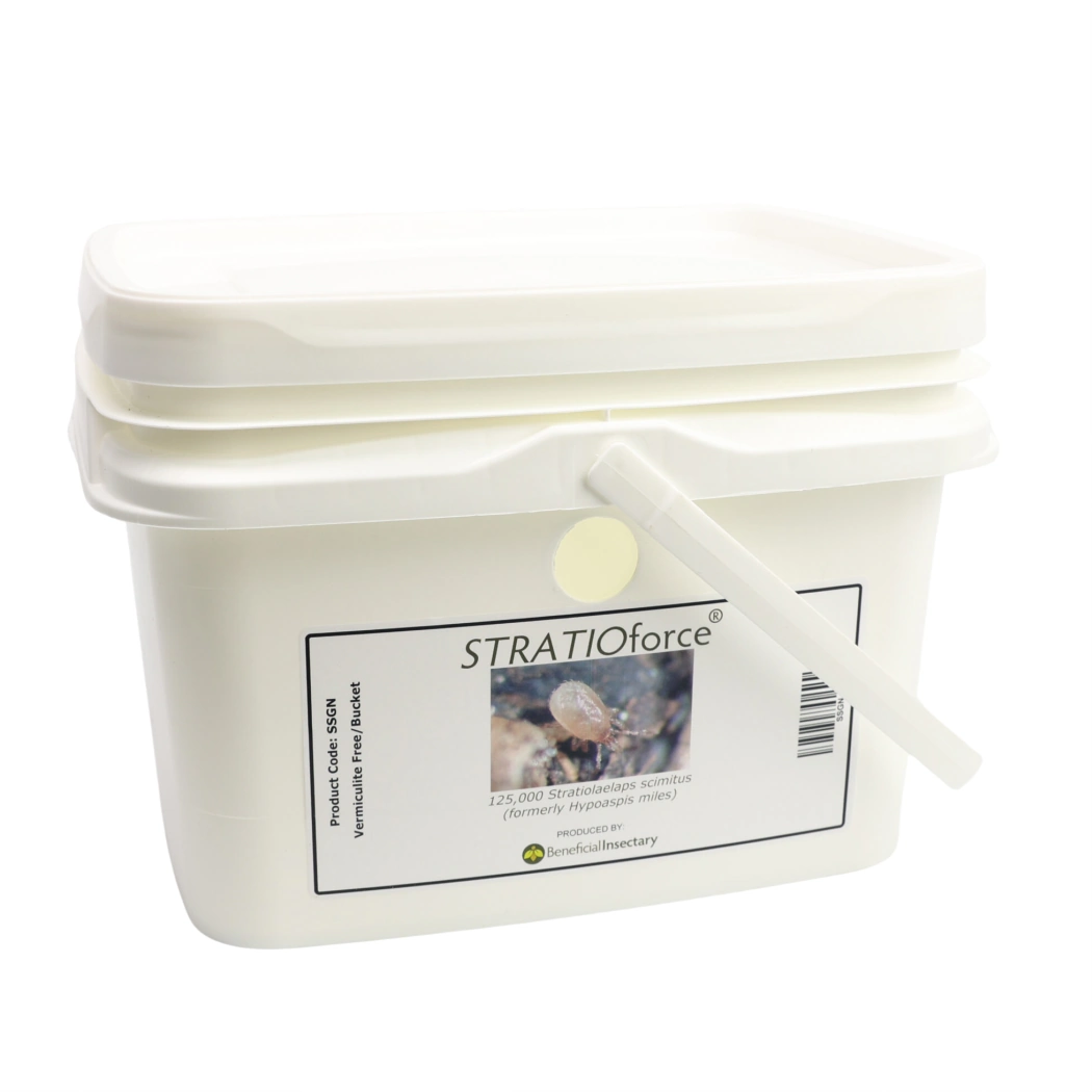 STRATIOforce soil-dwelling predatory mites 12 500  25 000  125 000 125000 5 liter bucket in Peat Moss Only