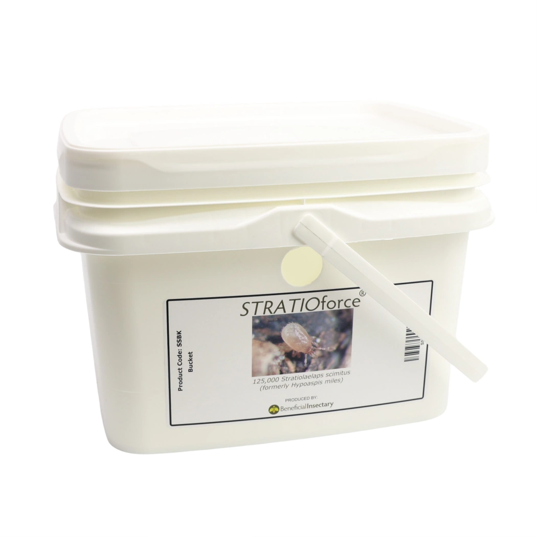 STRATIOforce soil-dwelling predatory mites 12 500  25 000  125 000 125000 5 liter bucket in Peat Moss Vermiculite