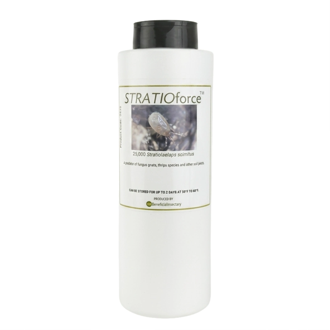 STRATIOforce soil-dwelling predatory mites 12 500  25 000  125 000 25000 1 liter Bottle in Peat Moss Only