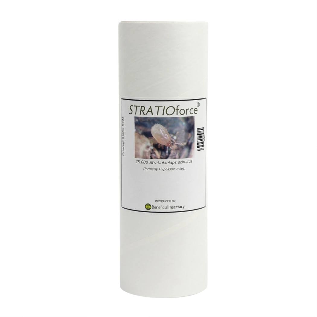 STRATIOforce soil-dwelling predatory mites 12 500  25 000  125 000 25000 1 liter Bottle in Peat Moss Vermiculite