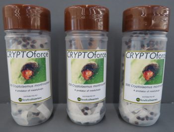 CRYPTOforce packaging