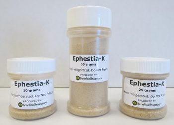 Ephestia eggs packaging