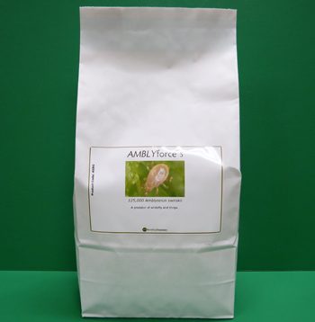 white paper bag with green printed label against green background